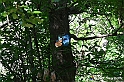 VBS_4680 - Il bosco fatato - Montaldo Roero